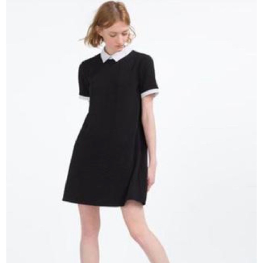Zara collar mini dress. Nwt